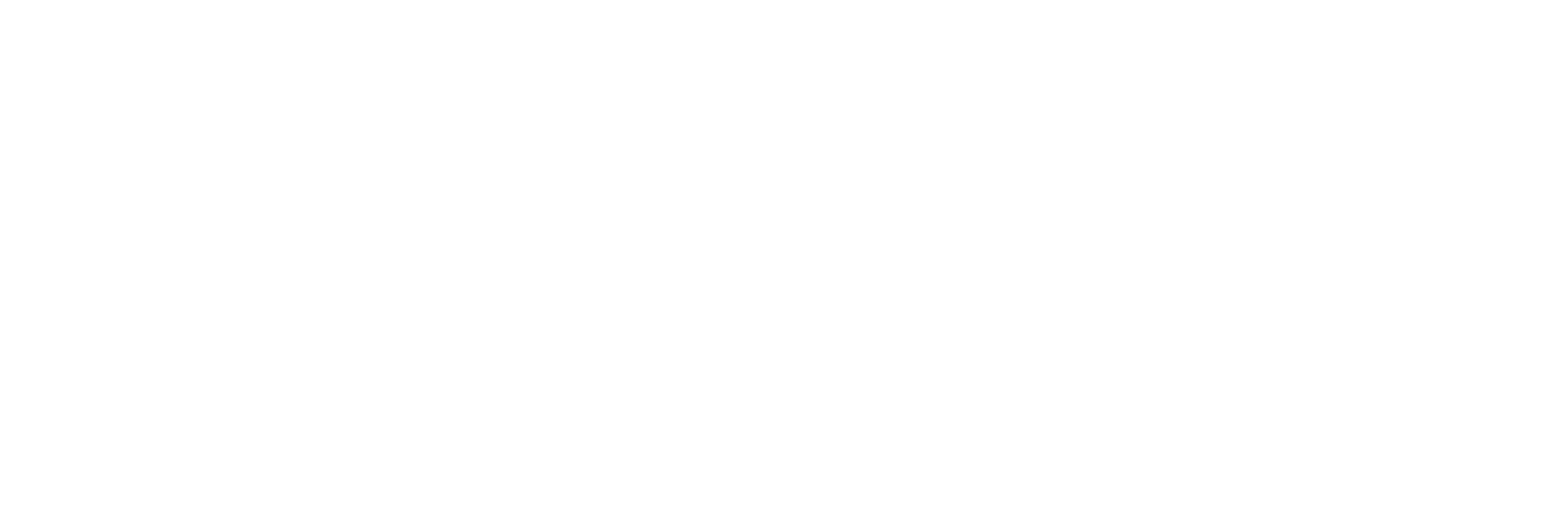 The Salamone Group